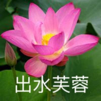 反恐死亡射击官方版下载
